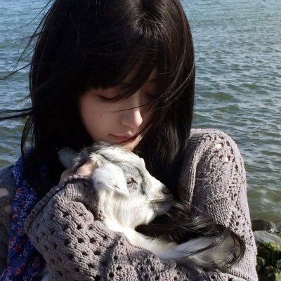 几度菊花香